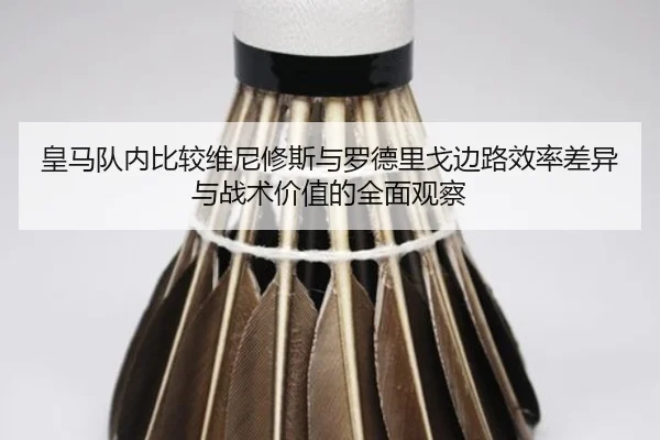 皇马队内比较维尼修斯与罗德里戈边路效率差异与战术价值的全面观察